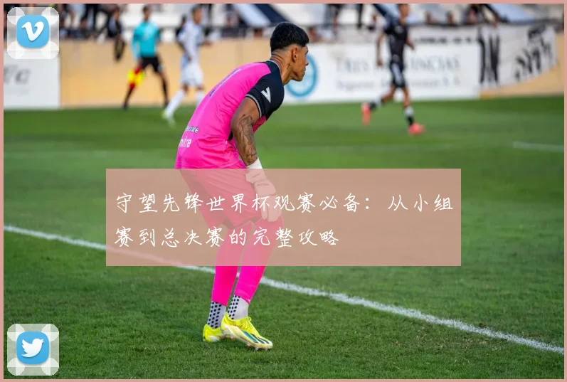 守望先锋世界杯观赛必备：从小组赛到总决赛的完整攻略